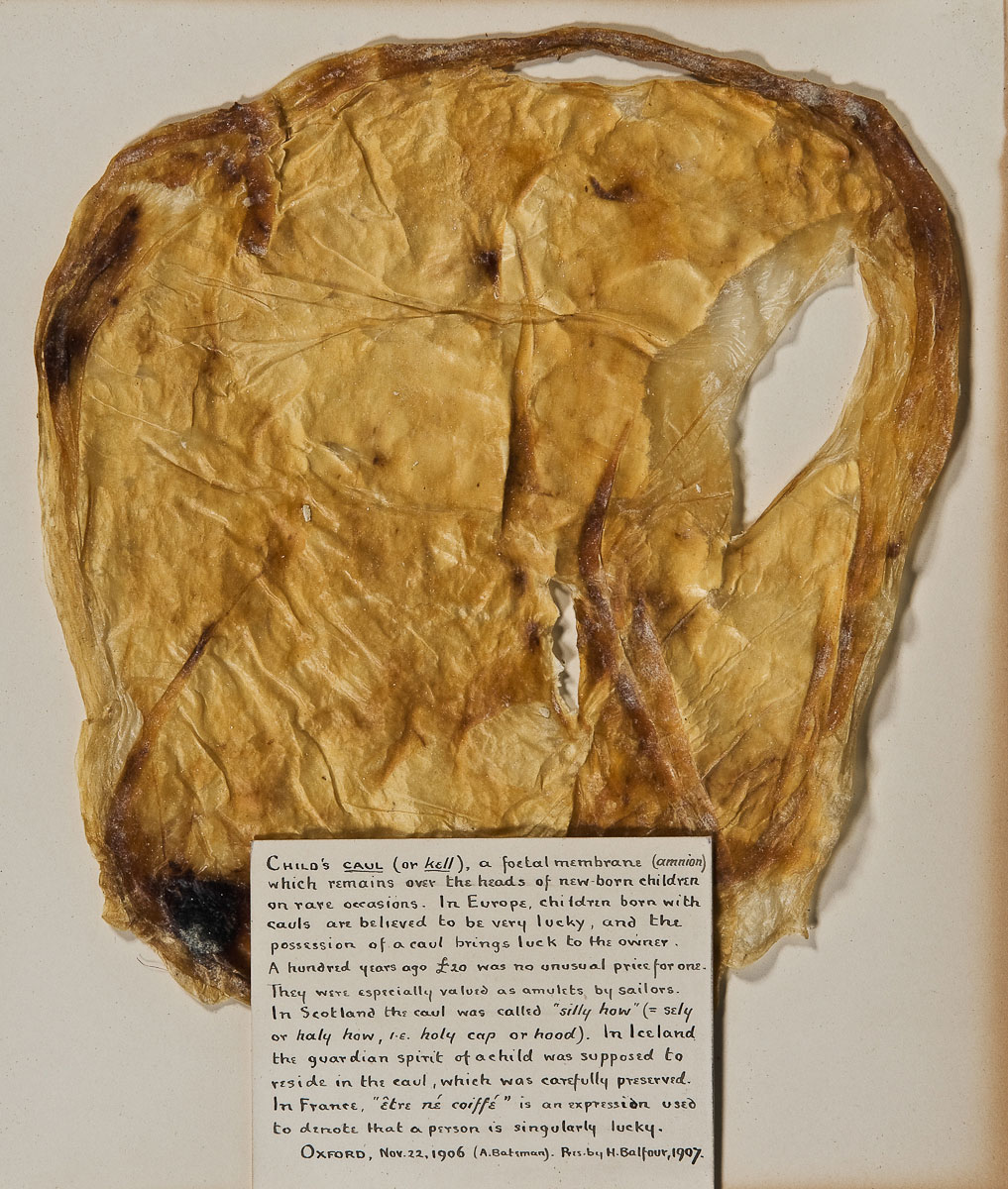 Calling the Caul by Grace Nichols