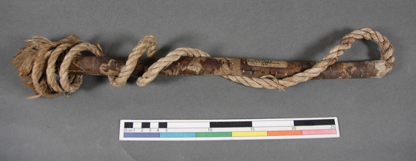 The Lacewood Whip by Kei  Miller