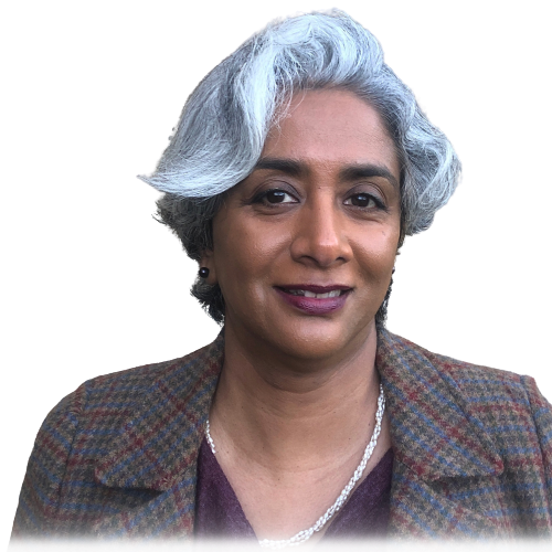 Professor Sunny Singh, academic and writer